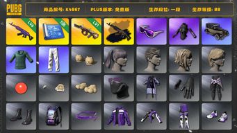 绝地求生（PUBG）[K4867]1段88级 信誉2 6级美杜莎+异色  1级牛头  五图纸 滑雪镜