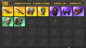 绝地求生（PUBG）[CC15210]CC15210/可排位/2段/334级/2张图纸/小丑女/小丑男/8级火麒麟/6级爆裂弹珠AUG/1套2代女团/星魂套装/绿东/卧底套装/拉风龙套装/粉战神/萨芬裤/金面/牛角/黑鬼/尼尔头/双马尾/丸子头/脏辫