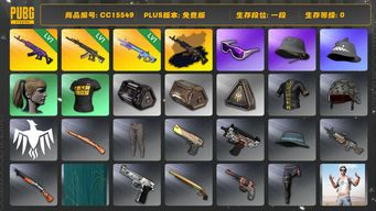 绝地求生（PUBG）CC15549 一段 滑雪镜 小马尾 1级美杜莎762 1级魔咒MK12 美杜莎762异色 1级妖魔ACE 美杜莎金属深灰...