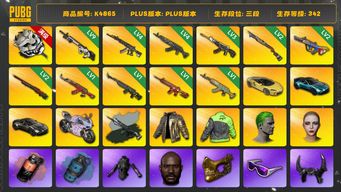 绝地求生（PUBG）[K4865]3段342级 信誉3 9级赛博 4级妖魔 4级青龙 3级白虎锅 3级恶魔 2级s1897 2级爆裂 2级孙悟空 1级AK 1级玄武 1级朱雀 1级水麒麟 时空使者异色 烟雾弹 马丁 迈凯伦 杜卡迪 小丑男 黑鬼 金面 滑雪镜 牛角 丹尼尔 