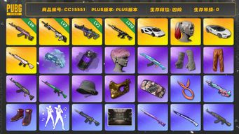 绝地求生（PUBG）CC15551 四段 6级火麒麟 3级赛博MK12 2级霓虹AUG 迈凯伦 小丑女 金面 渔夫帽 粉头 小马尾 女团大礼包 橙运动 竞猜裤 烟雾弹 烟枪 绷带手套 10级猪八戒M416 西游记套装 兰博基尼 拉风龙套装 萨芬裤 内马尔大礼包 阿狸大礼包 紫色烟雾弹 兰博跑车 白色迈凯伦 蓝色魔法迷雾 - M79 JENNIE JISOO LISA 青海摇 人型看板...