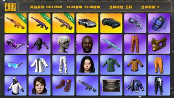 绝地求生（PUBG）CC15559 五段 10级火麒麟 8级南瓜M4 阿斯顿马丁 黑鬼 金面 滑雪镜 马东锡 丸子头 小马尾 女团大礼包 尼尔大礼包 橙运动 竞猜裤 烟雾弹 烟枪 小黄鸭大礼包 NewJeans女团 拉风龙套装 3级美杜莎762 冬季藏匿处 白战神 黄东 发光手臂 小绿东 小叮当套装 蓝色烟雾弹 马丁SUV aespa女团 紫色魔法迷雾 - M79 星魂虎虎生威大礼包 保时捷 保时捷911 HY...