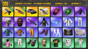 绝地求生（PUBG）CC15553 二段 黑鬼 丸子头 尼尔大礼包 烟雾弹 悲喜大礼包 小黄鸭大礼包 拉风龙套装 10级弥诺陶洛斯AUG 冬季藏匿处 黄东 发光手臂 弥诺陶洛斯AUG异色 小绿东 小叮当套装 阿狸大礼包 品红色烟雾弹 翡翠色烟雾弹 aespa女团 Pigff套装 星魂虎虎生威大礼包 2级寒蚀MP5K 保时捷 保时捷卡宴 9S 青海摇...