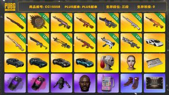 绝地求生（PUBG）CC15558 三段 10级火麒麟 1级南瓜M4 10级朱雀M4 10级霓虹AUG 10级玩偶大炮 1级小兔MK12 阿斯顿马丁 小丑女 黑鬼 丸子头 小马尾 女团大礼包 街头霸王套装 烟雾弹 小黄鸭大礼包 1级圣诞AK 9级孙悟空M24 1级沙悟净Mini14 2级唐三藏平底锅 唐三藏 西游记套装 1级粉梦长眠德拉贡 NewJeans女团 兰博基尼 1级无重力MP5K 1级刻耳柏洛斯M24...