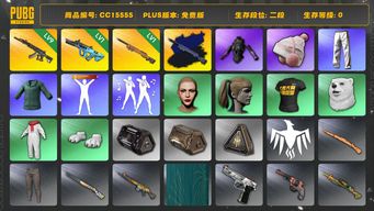 绝地求生（PUBG）CC15555 二段 渔夫帽 丸子头 小马尾 发光手臂 小绿东 9级妖魔ACE 1级权志龙AUG 1级夜曲M24 夜曲M24异色 青海摇 人型看板...