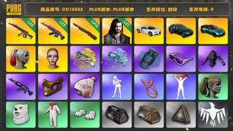 绝地求生（PUBG）CC15552 四段 阿斯顿马丁 小丑女 金面 滑雪镜 小马尾 烟枪 10级孙悟空M24 3级美杜莎762 发光手臂 4级妖魔ACE 黄色狂怒之雾 - M79 马丁敞篷跑车 马丁SUV 蓝色魔法迷雾 - M79 布加迪威龙 布加迪普通跑车 1级多利安 人型看板...