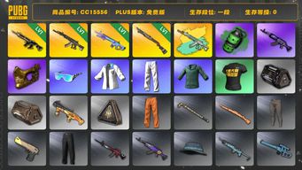 绝地求生（PUBG）CC15556 一段 金面 渔夫帽 烟雾弹 1级猪八戒M416 1级魔咒MK12 小绿东 1级妖魔ACE 妖魔ACE异色 小叮当套装 翡翠色烟雾弹 1级烈日灼烧S1897 星魂虎虎生威大礼包...