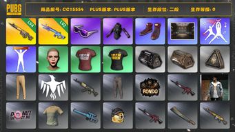 绝地求生（PUBG）CC15554 二段 4级齿轮大炮 滑雪镜 丸子头 西游记套装 2级魔咒MK12 发光手臂 人型看板...