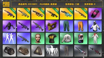 绝地求生（PUBG）CC15571 二段 3级水麒麟 金面 丸子头 烟雾弹 2级猪八戒M416 拉风龙套装 3级美杜莎762 3级弥诺陶洛斯AUG 1级时光SKS 白战神 发光手臂 品红色烟雾弹 Pigff套装 1级权志龙AUG 星魂虎虎生威大礼包 青海摇...