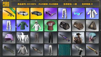 绝地求生（PUBG）CC15574 一段 滑雪镜 小绿东 4级妖魔ACE Pigff套装 布加迪威龙 布加迪奢华跑车 布加迪普通跑车 星魂虎虎生威大礼包...
