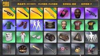 绝地求生（PUBG）CC15575 四段 黑鬼 丸子头 烟雾弹 10级孙悟空M24 西游记套装 1级粉梦长眠德拉贡 1级午夜惊魂98K 6级弥诺陶洛斯AUG 小绿东 小叮当套装 品红色烟雾弹 青海摇...