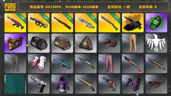 绝地求生（PUBG）CC15570 一段 金面 烟雾弹 2级孙悟空M24 5级美杜莎762 2级弥诺陶洛斯AUG 1级魔咒MK12 美杜莎762异色 翡翠色烟雾弹 1级烈日灼烧S1897 美杜莎金属深灰...