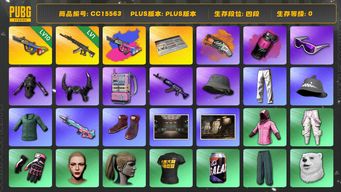 绝地求生（PUBG）CC15563 四段 滑雪镜 丸子头 小马尾 烟雾弹 烟枪 悲喜大礼包 10级爆裂弹球AUG 西游记套装 牛角 电磁包 发光手臂 萨芬裤 小绿东 1级妖魔ACE 品红色烟雾弹 橙色狂怒之雾 - M79...