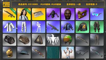 绝地求生（PUBG）CC15565 一段 黑鬼 金面 拉风龙套装 发光手臂 1级瀚娜 8级妖魔ACE 小叮当套装 Pigff套装 星魂虎虎生威大礼包...