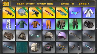 绝地求生（PUBG）CC15569 一段 小马尾 1级无信号M416 拉风龙套装 2级塞壬平底锅 5级美杜莎762 黄东 小绿东 小叮当套装 1级权志龙AUG 星魂虎虎生威大礼包 1级寒蚀MP5K...