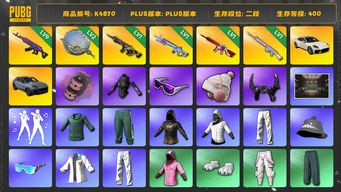 绝地求生（PUBG）[K4870]2段400级 信誉3 9级美杜莎 2级塞壬 1级时空使者 1级无信号 1级玩偶大炮 烟雾弹 卡宴 帕拉梅拉 小绿东 白战神 发光手  小马尾 滑雪镜 