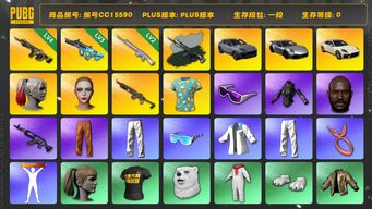 绝地求生（PUBG）编号CC15590 一段 2级玩偶大炮 小丑女 黑鬼 滑雪镜 小马尾 菠萝T 橙运动 悲喜大礼包 拉风龙套装 发光手臂 Pigff套装 3级权志龙AUG 星魂虎虎生威大礼包 保时捷 保时捷帕拉梅拉 保时捷911 保时捷卡宴 4级时空使者M416 时空使者M4异色 人型看板...