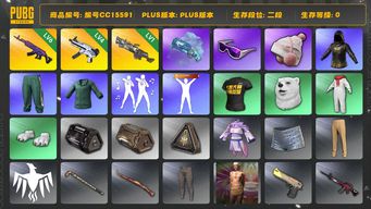 绝地求生（PUBG）编号CC15591 二段 滑雪镜 渔夫帽 烟枪 4级无重力MP5K 1级刻耳柏洛斯M249 6级美杜莎762 小绿东 蓝色魔法迷雾 - M79 青海摇 人型看板...