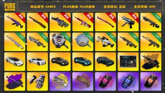 绝地求生（PUBG）[K4872]5段500级 信誉4 10级美杜莎+异色 10级悟空 10级霓虹 10级无信号 10级午夜+异色 6级寒蚀 5级暗影MK 2级玩偶炮 2级刻耳柏洛斯 2级塞壬 2级虚空锅 1级狗杂 1级时空M4 1级恶魔 烟枪烟弹 迈凯伦 布加迪 三马丁 白战神 悲喜 小战神 黄东 发光手 白熊脚 小黑盒手套 渔夫帽 金面 康萨斯发带 滑雪镜 电磁包 丑男丑女 小绿头 丸子头 小马尾 黑鬼 卡崔娜 