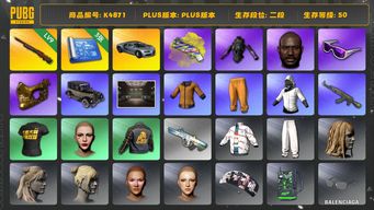 绝地求生（PUBG）[K4871]2段50级 信誉2 9级孙悟空 烟枪 黄东 白战神 黑鬼 金面 滑雪镜 