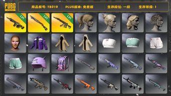 绝地求生（PUBG）[TB319]1段1级（免费版）1级妖魔ACE,1级时空使者M416,1级烈日灼烧S1897