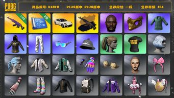 绝地求生（PUBG）[K4878]1段164级 信誉2 5级美杜莎+异色 帕梅 绿东 小马尾 黑鬼 金面