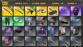 绝地求生（PUBG）[K4317]1段41级  信誉2  布加迪 4级烈日+异色 2级猛虎  1级寒蚀 烟枪  黑鬼  白熊脚