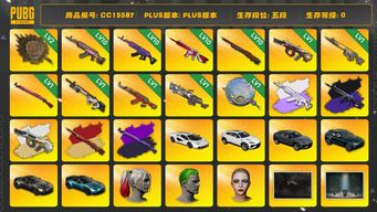 绝地求生（PUBG）CC15587 五段 10级火麒麟 1级齿轮大炮 1级赛博MK12 阿斯顿马丁 小丑女 小丑男 黑鬼 金面 滑雪镜 渔夫帽 马东锡 丸子头 小绿头 小马尾 女团大礼包 街头霸王套装 烟雾弹 烟枪 悲喜大礼包 1级圣诞AK 10级孙悟空M24 2级唐三藏平底锅 唐三藏 西游记套装 兰博基尼 10级无信号M416 拉风龙套装 1级午夜惊魂98K 牛角 1级刻耳柏洛斯M249 1级塞壬平底锅 10...