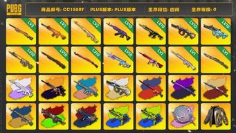 绝地求生（PUBG）CC15597 四段 10级齿轮大炮 2级南瓜M4 1级猛虎98K 1级玩偶大炮 黑鬼 金面 滑雪镜 渔夫帽 丸子头 小马尾 斗鱼夹克 尼尔大礼包 烟雾弹 烟枪 小黄鸭大礼包 6级圣诞AK 10级猪八戒M416 10级孙悟空M24 2级粉梦长眠德拉贡 1级无信号M416 1级无重力MP5K 拉风龙套装 10级午夜惊魂98K 牛角 染血裤 6级刻耳柏洛斯M249 3级塞壬平底锅 10级美杜莎7...