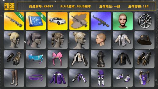 绝地求生（PUBG）[K4877]1段123级 信誉3 2级AWM+异色 布加迪 