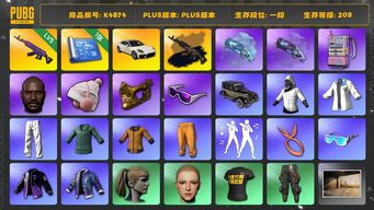 绝地求生（PUBG）[K4874]1段209级 信誉3 5级美杜莎+异色 帕梅 烟枪 电磁包 白战神 绿东 黄东 小马尾 黑鬼 金面 滑雪镜
