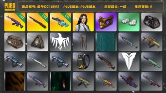 绝地求生（PUBG）编号CC15603 一段 金面 3级孙悟空M24 3级美杜莎762 瀚娜 1级权志龙AUG...