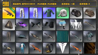 绝地求生（PUBG）编号CC15610 一段 6级美杜莎762 小绿东 星魂虎虎生威大礼包...