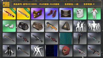 绝地求生（PUBG）编号CC15605 一段 1级彩虹M24 金面 8级无信号M416...