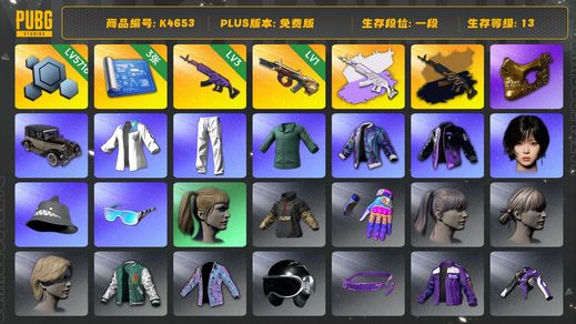 绝地求生（PUBG）[K4653]1段13级（未开通排位） 信誉2 3级美杜莎+双异色 1级牛头 3图纸 星魂套 女团金冬天  金面 