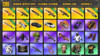 绝地求生（PUBG）编号CC15607 三段 3级火麒麟 6级南瓜M4 3级青龙762 2级赛博MK12 1级彩虹M24 6级恶魔ACE 迈凯伦 滑雪镜 渔夫帽 马东锡 丸子头 小绿头 小马尾 烟雾弹 烟枪 白虎包 5级沙悟净Mini14 兰博基尼 1级无重力MP5K 拉风龙套装 3级午夜惊魂98K 白战神 发光手臂 萨芬裤 内马尔大礼包 紫色烟雾弹 橘色烟雾弹 橙色狂怒之雾 - M79 兰博奢华SUV 白色迈...