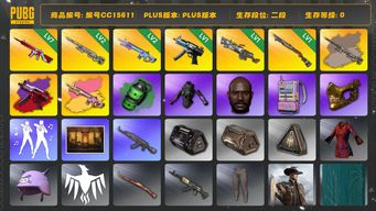 绝地求生（PUBG）编号CC15611 二段 黑鬼 金面 渔夫帽 烟雾弹 7级无信号M416 1级刻耳柏洛斯M249 电磁包 武器神龛 2级魔咒MK12 发光手臂 魔咒MK12异色 翡翠色烟雾弹 1级烈日灼烧S1897 1级寒蚀MP5K 寒蚀MP5K异色 2级幽影残魂AWM AWM异色 青海摇...