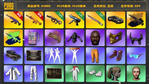 绝地求生（PUBG）[K4882]五段500级  信誉4  10级美杜莎+异色  10级南瓜+异色  3级牛头  1级寒蚀  1级彩虹  烟枪  黄东  发光手  小马尾  丸子头  ailee  黑鬼  金面 牛角  渔夫帽  尼尔大礼包