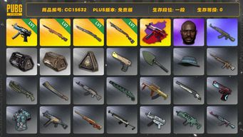 绝地求生（PUBG）CC15632 一段 1级猛虎98K 黑鬼 1级烈日灼烧S1897 1级夜曲M24 1级寒蚀MP5K 寒蚀MP5K异色...