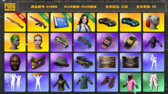 绝地求生（PUBG）[K4888]3段39级 信誉3 2马丁 10级夜曲 9级美杜莎 烟弹烟枪 3张图纸 1级瀚娜 悲喜 小丑女 小丑男 黑鬼 金面 渔夫帽