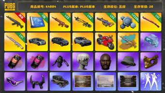 绝地求生（PUBG）[K4884]5段26级 信誉3 10级青龙+异色 5级朱雀 4级小兔 3级爆裂 1级午夜 1级玩偶 烟枪烟弹 布加迪 兰博SUV 保时捷卡宴 杜卡迪 白战神 染血裤 悲喜 拉风龙 发光手 白熊脚 尼尔9s 黑鬼 渔夫帽 金面 滑雪镜
