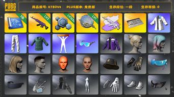 绝地求生（PUBG）[KTB344]1段1级（免费版）3级美杜莎762,1级塞壬平底锅,美杜莎762异色,美杜莎灰色配紫色,拉风龙套装,小绿东,小叮当套装,星魂虎虎生威大礼包,人型看板