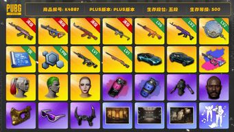 绝地求生（PUBG）[K4887]5段500级 信誉3 2马丁 10级火麒麟 10级爆裂+异色 6级圣诞AK 6级沙悟净 6级南瓜 2级美杜莎 2级塞壬 1级时空 1级夜曲 烟弹 悲喜 小战神 萨芬裤 白熊脚 小丑女 小丑男 黑鬼 金面 滑雪镜 牛角