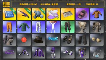 绝地求生（PUBG）[KTB345]1段1级（免费版）3级美杜莎762,美杜莎灰色配紫色,美杜莎762异色,烟雾弹,粉色烟雾弹,星魂虎虎生威大礼包,小叮当套装,小绿东,黄东,拉风龙套装,人型看板