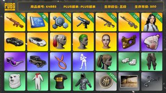 绝地求生（PUBG）[K4885]5段500级 信誉2 8级朱雀 1级寒蚀 1级妖魔 1级齿轮跑 1级瀚娜 迈凯伦 马丁跑车 丑男丑女 小马尾 金面 滑雪镜 白熊脚