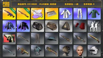 绝地求生（PUBG）CC15628 一段 4级美杜莎762 美杜莎762异色 小绿东 星魂虎虎生威大礼包 1级夜曲M24 美杜莎灰色配紫色...