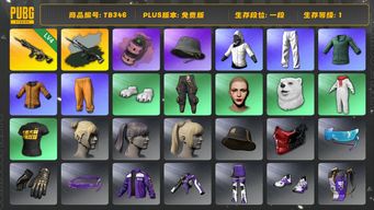 绝地求生（PUBG）[TB346]1段1级（免费版 红信号可换绑）不可充值 4级时空使者M416,时空使者M4异色,烟雾弹,粉色烟雾弹,星魂虎虎生威大礼包,小叮当套装,小绿东,黄东,白战神,拉风龙套装,丸子头