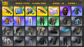 绝地求生（PUBG）[KTB358]1段1级（免费版）信誉2 4级美杜莎762,1级弥诺陶洛斯AUG,美杜莎灰色配紫色,美杜莎762异色,黑鬼,拉风龙套装,小绿东,小叮当套装,星魂虎虎生威大礼包,黄东,小马尾