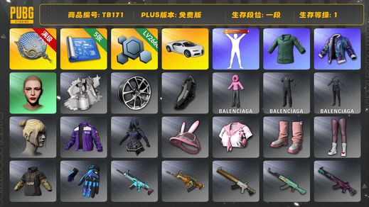 绝地求生（PUBG）[TB171]1段1级（免费版）丸子头 塞壬平底锅 小绿东 布加迪普通跑车 布加迪威龙 巴黎世家