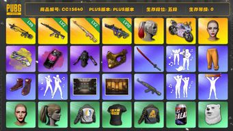 绝地求生（PUBG）CC15640 五段 10级霓虹AUG 6级小兔MK12 小丑女 金面 丸子头 小马尾 烟雾弹 烟枪 小黄鸭大礼包 杜卡迪 西游记套装 2级粉梦长眠德拉贡 拉风龙套装 武器神龛 发光手臂 2级妖魔ACE 内马尔大礼包 阿狸大礼包 品红色烟雾弹 黄色狂怒之雾 - M79 杜卡迪暮光粉 北极星 大摆锤 青海摇 人型看板...